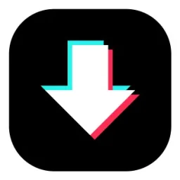 Threads Video Downloader