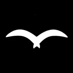 SkySoar Technologies