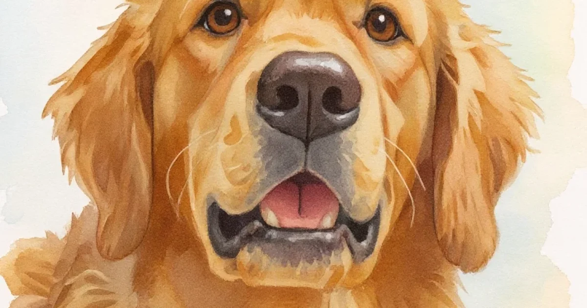 PetIntoArt social preview