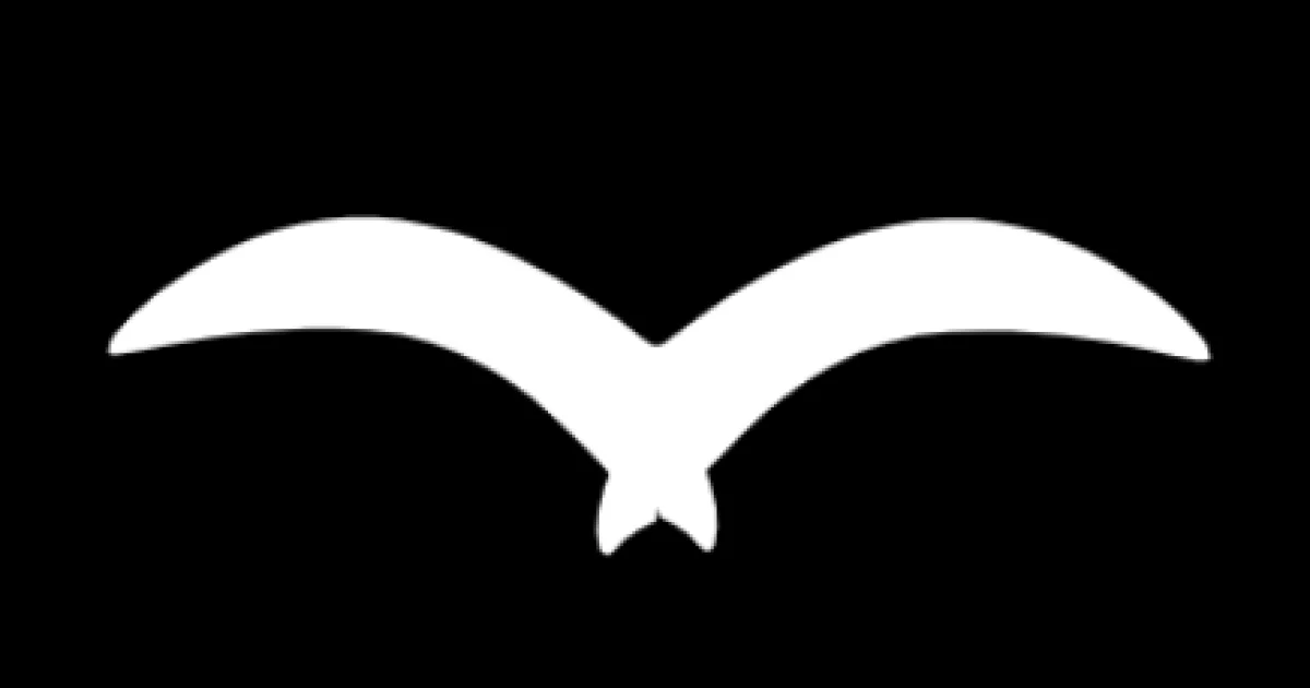 SkySoar Technologies social preview