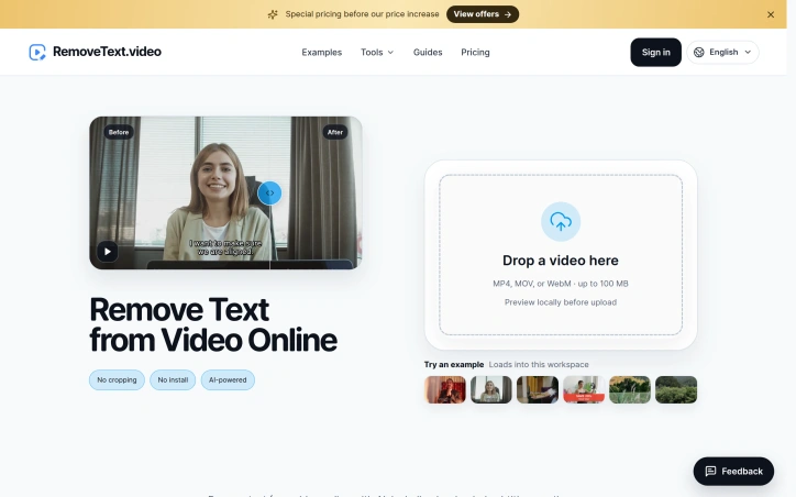 Preview of RemoveText.video