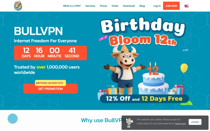 Preview of BullVPN