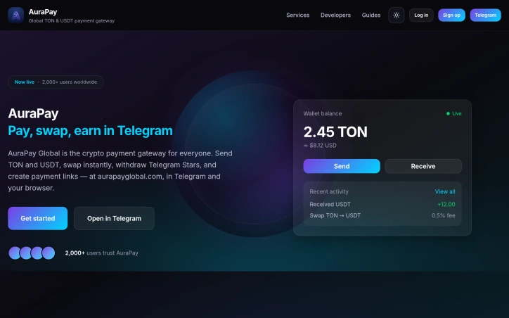 Preview of AuraPay Global