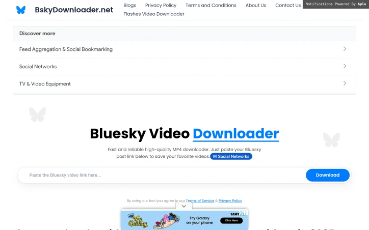 Preview of Bluesky Video Downloader