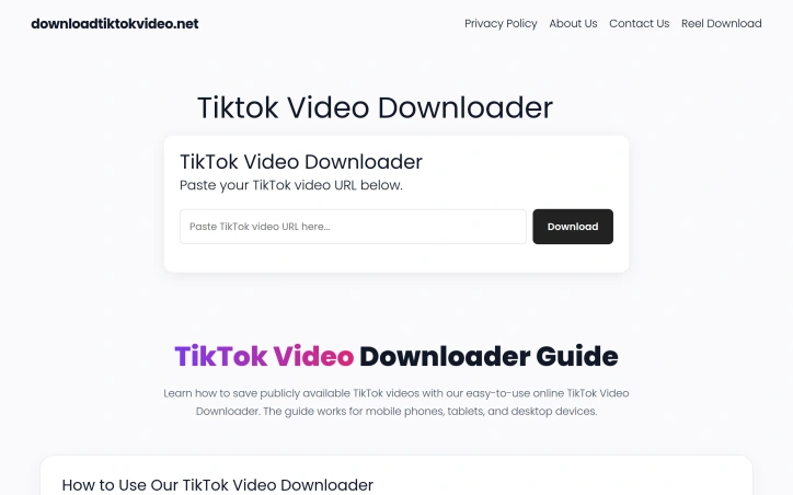 Preview of TikTok Video Downloader