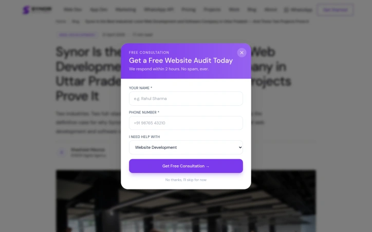 Synor Web development and digital marketing agency preview